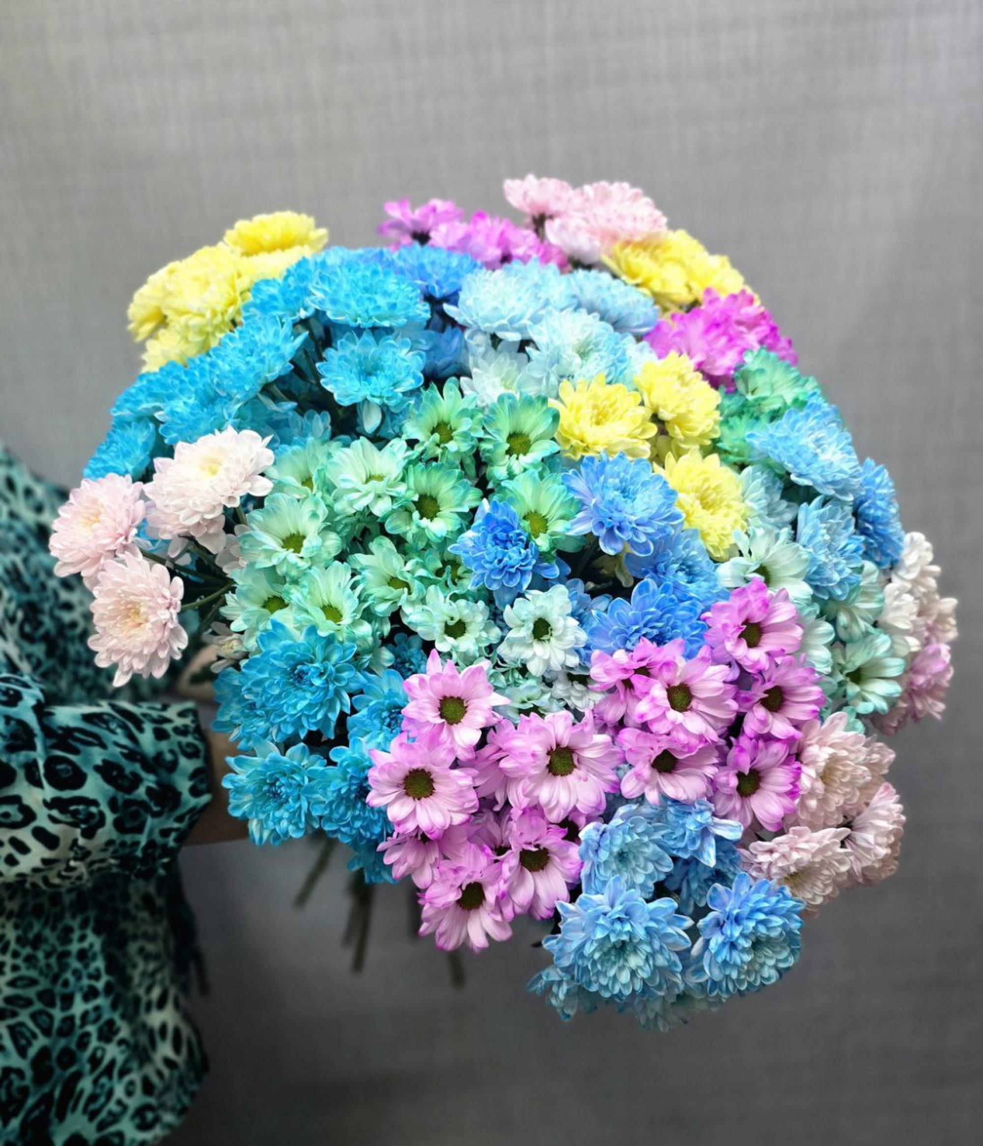 Хризантема