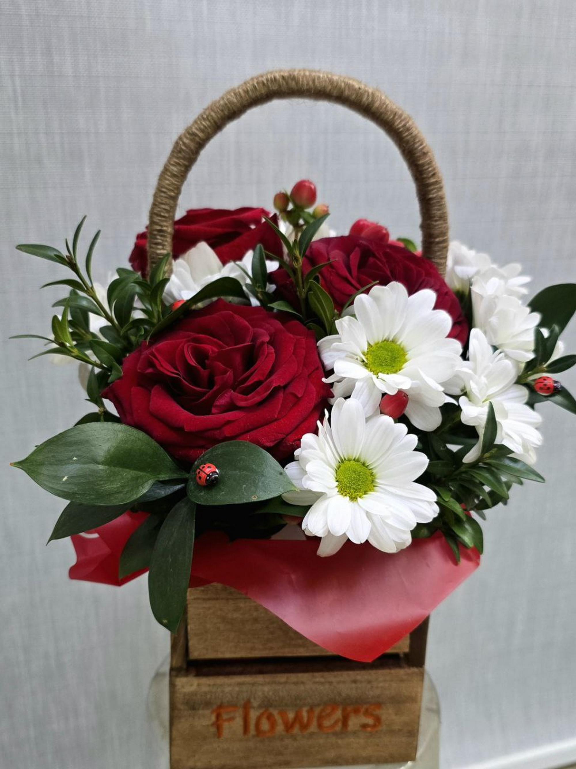 Композиции