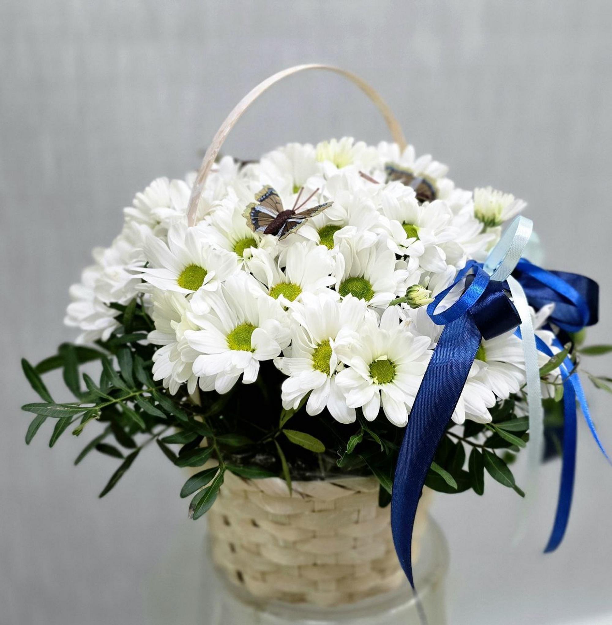 Композиции